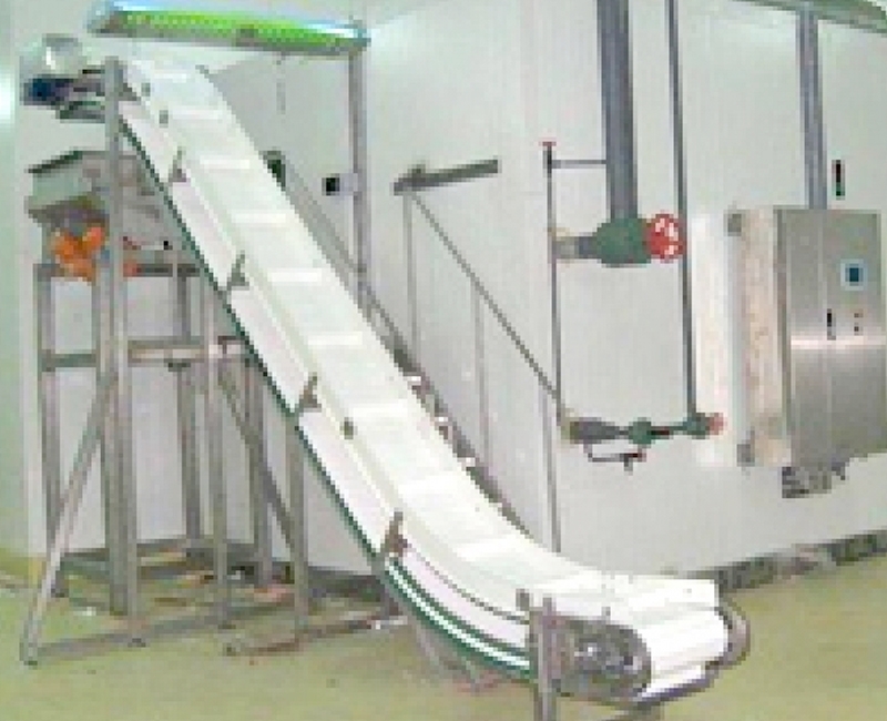 IQF-Fluid Bed Freezer