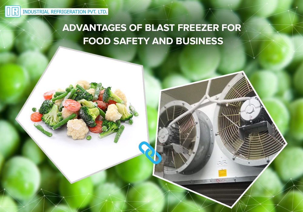 Rapid chilling blast freezing portable freezer fish meat pharma