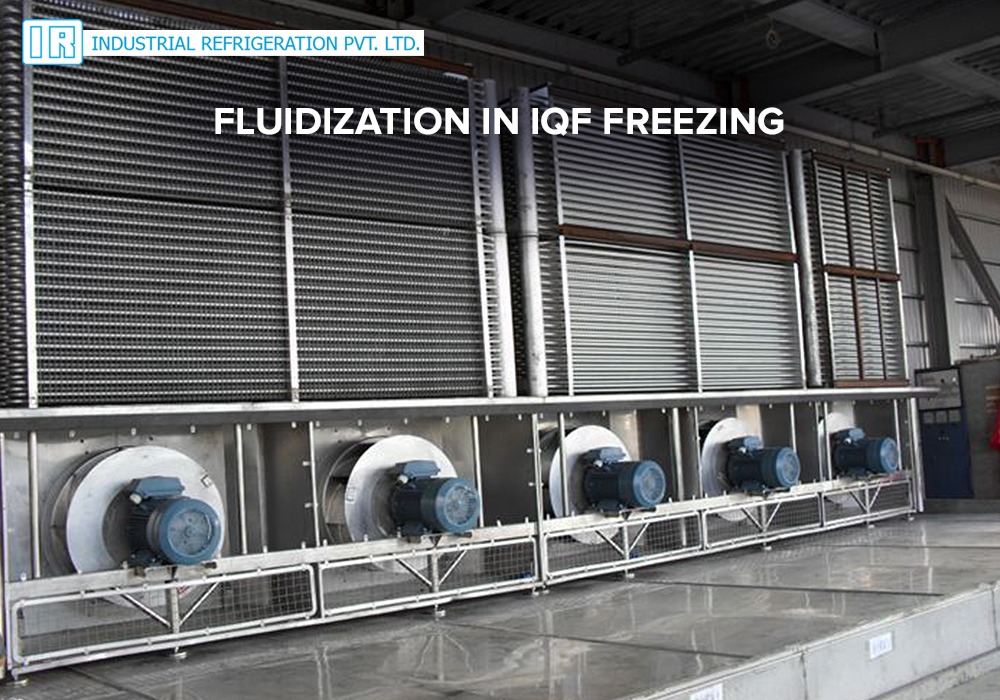 FLUIDIZATION IN IQF FREEZING