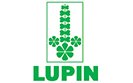 Lupin