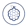 Industrial Refrigeration - Fruits Industry