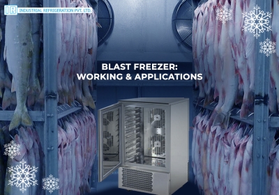 Blast Freezer: Working &amp; Applications
